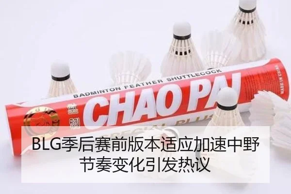BLG季后赛前版本适应加速中野节奏变化引发热议